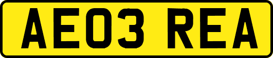 AE03REA