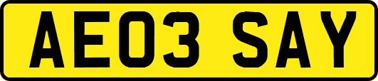 AE03SAY