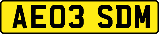 AE03SDM