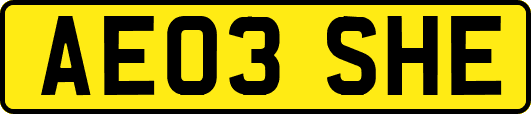 AE03SHE
