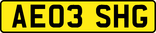 AE03SHG
