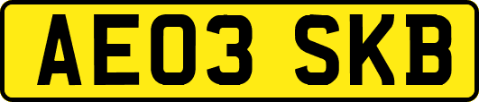 AE03SKB