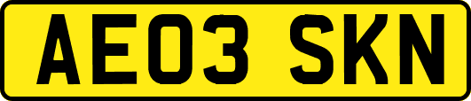 AE03SKN