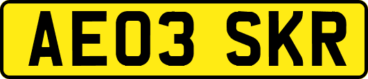 AE03SKR