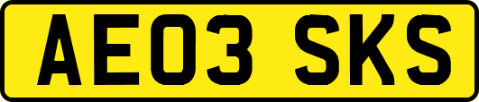 AE03SKS