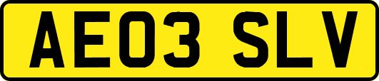 AE03SLV