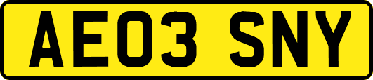 AE03SNY