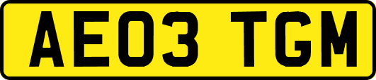 AE03TGM
