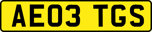 AE03TGS