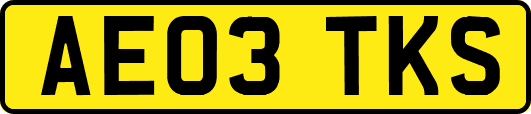 AE03TKS