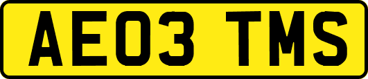 AE03TMS