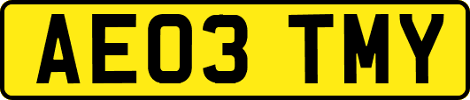 AE03TMY