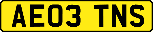 AE03TNS