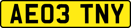 AE03TNY