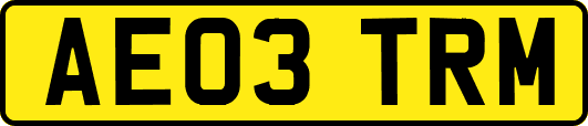AE03TRM