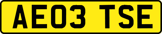 AE03TSE