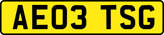 AE03TSG