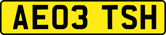 AE03TSH