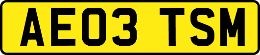 AE03TSM