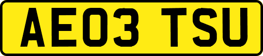 AE03TSU