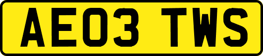 AE03TWS