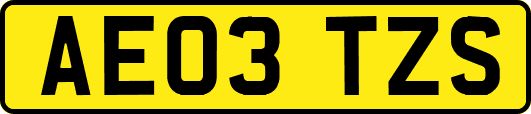 AE03TZS
