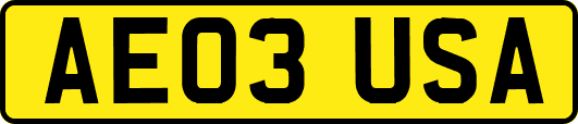 AE03USA