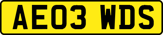 AE03WDS
