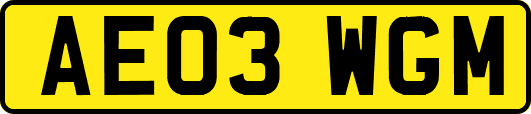 AE03WGM