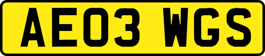 AE03WGS