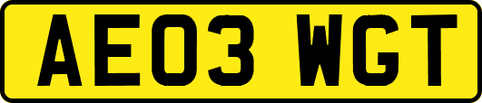 AE03WGT