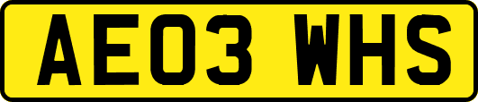 AE03WHS