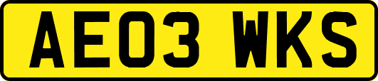 AE03WKS