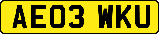 AE03WKU