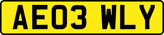 AE03WLY
