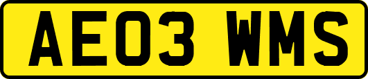 AE03WMS