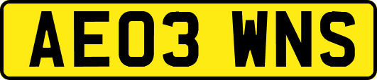 AE03WNS