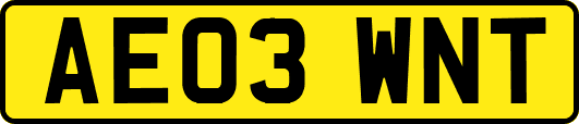 AE03WNT