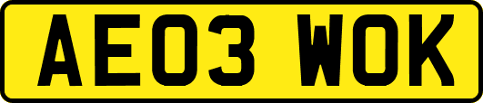 AE03WOK