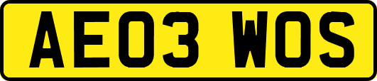 AE03WOS
