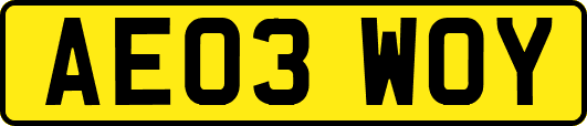 AE03WOY