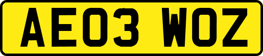AE03WOZ