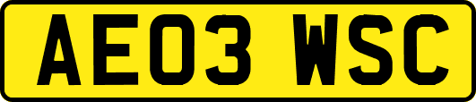 AE03WSC