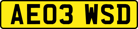 AE03WSD