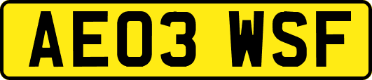 AE03WSF