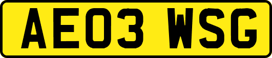 AE03WSG
