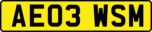 AE03WSM
