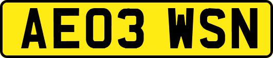 AE03WSN