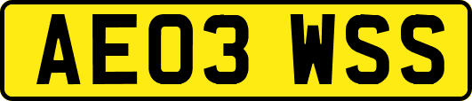 AE03WSS