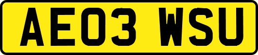 AE03WSU